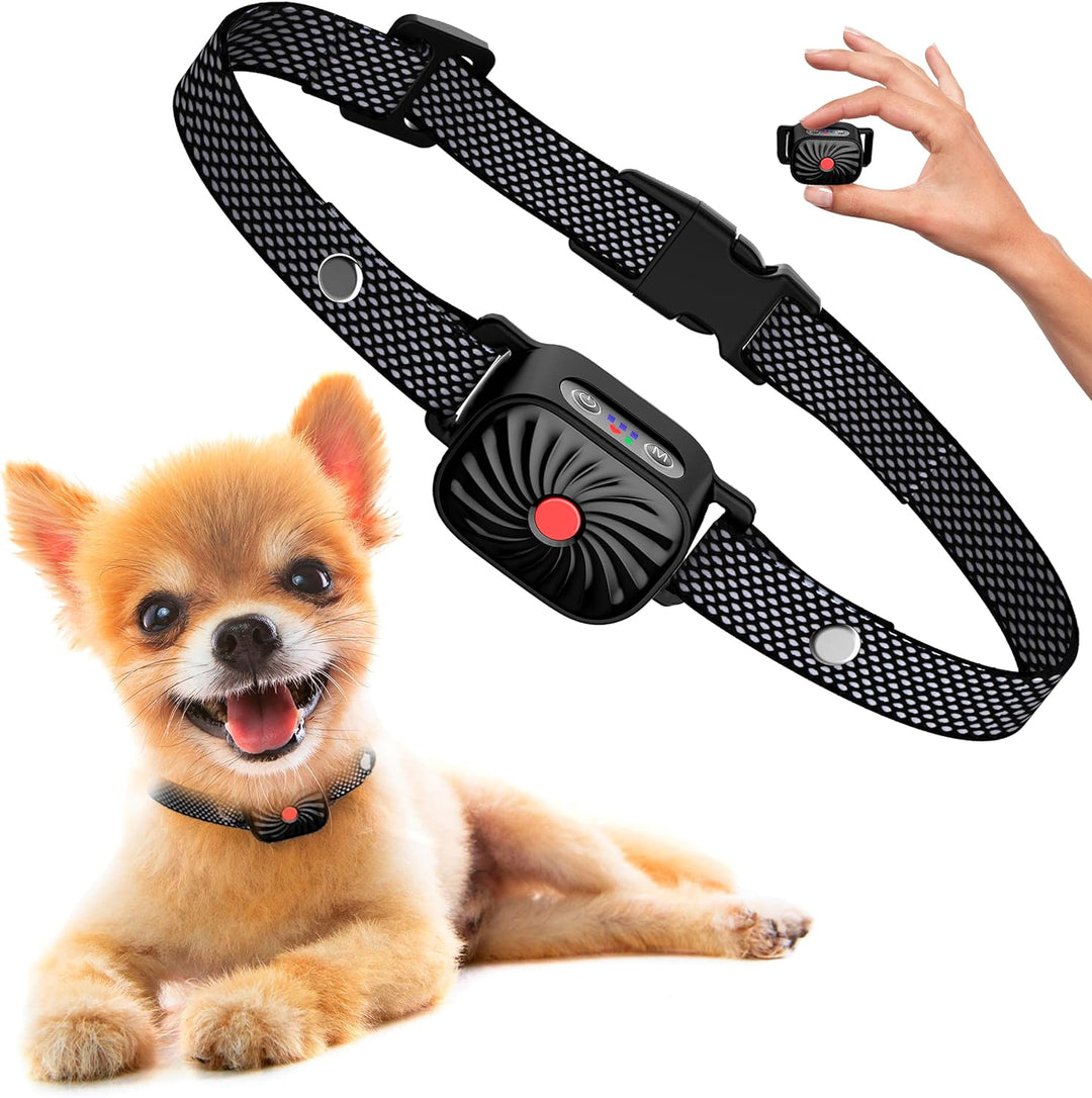 Collier anti-aboiement humain pour chien, dressage sonore doux, aide à calmer les aboiements excessifs.