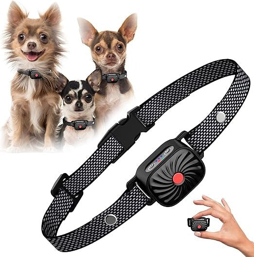 Maître utilisant le collier anti-aboiement sonore pour chien, améliore le comportement, éducation efficace.