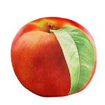 Pêche