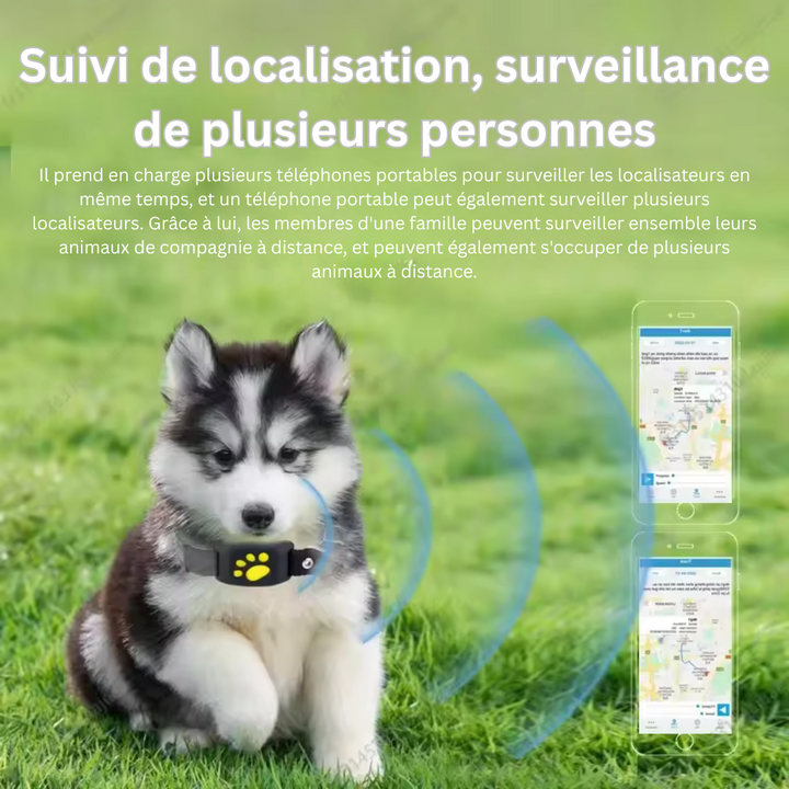 Traceur GPS PurrLux robuste pour animaux, assure un suivi précis en temps réel et la sécurité de votre chat/chien dehors.