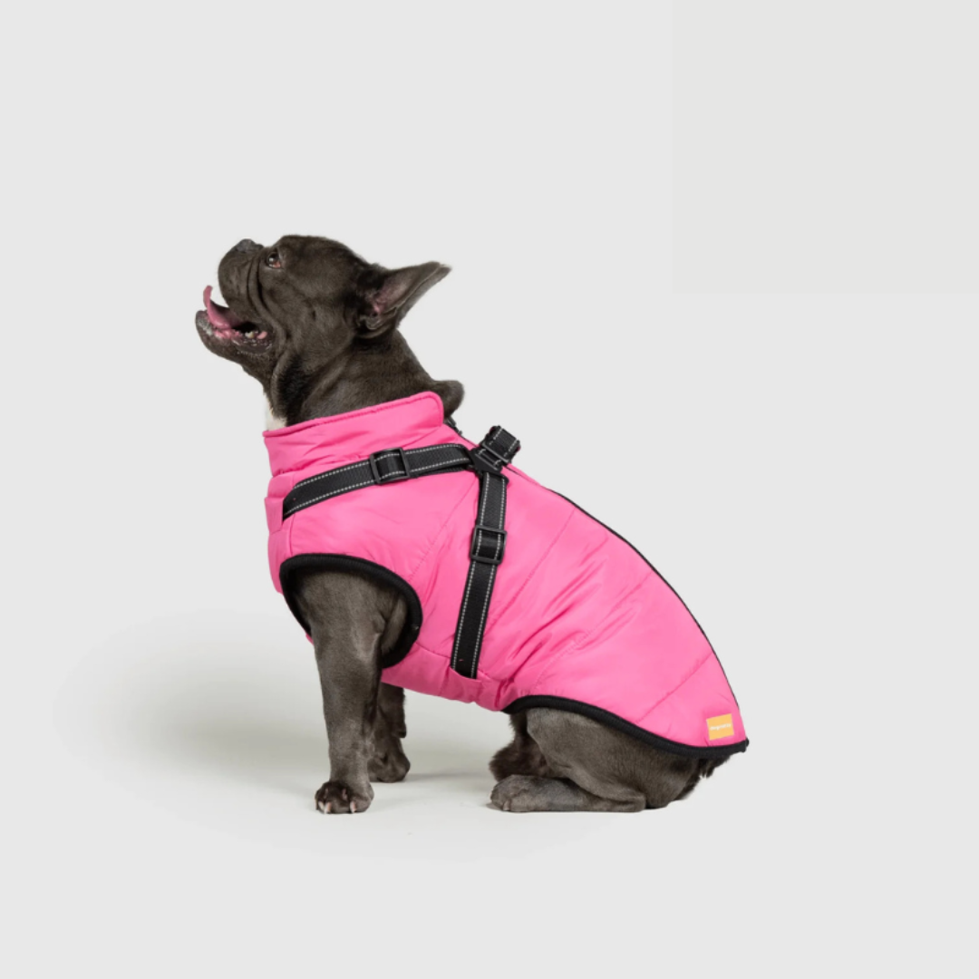 Manteau d'hiver RoyalPaw élégant et chaud pour chien, idéal promenade par temps froid. Confort et style assurés.