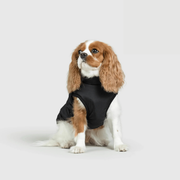 Manteau élégant RoyalPaw pour chien, alliant style et chaleur pour les journées froides d'hiver. Vêtement premium.