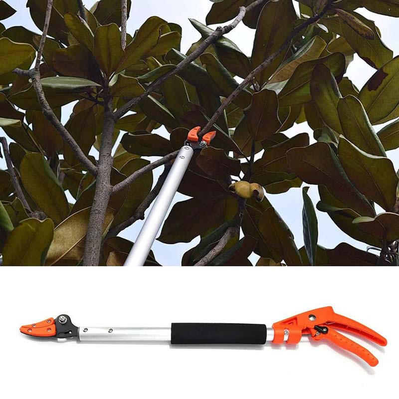 Taille-haie télescopique réglable pour élagage précis. Outil de jardinage léger et efficace pour un jardin impeccable.