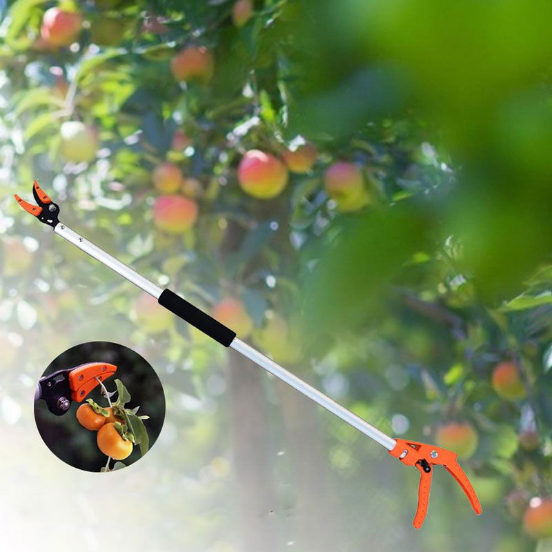 Équipement de jardin: taille-haie télescopique pour un élagage précis, offrant une coupe impeccable et facile.