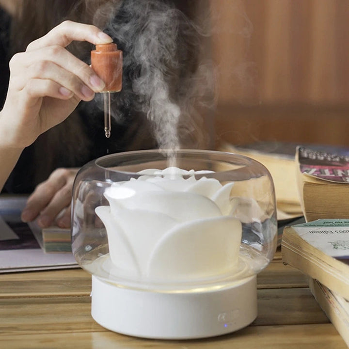 Diffuseur d'arômes LED, cadeau idéal pour la relaxation et le bien-être à la maison.