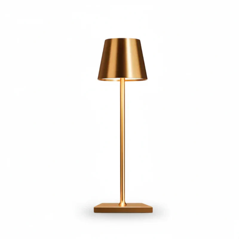 Lampe LED portable noire, intensité lumineuse ajustable, parfaite pour décoration maison ou jardin.