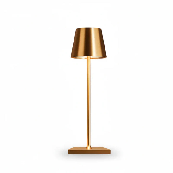 Lampe LED portable noire, intensité lumineuse ajustable, parfaite pour décoration maison ou jardin.