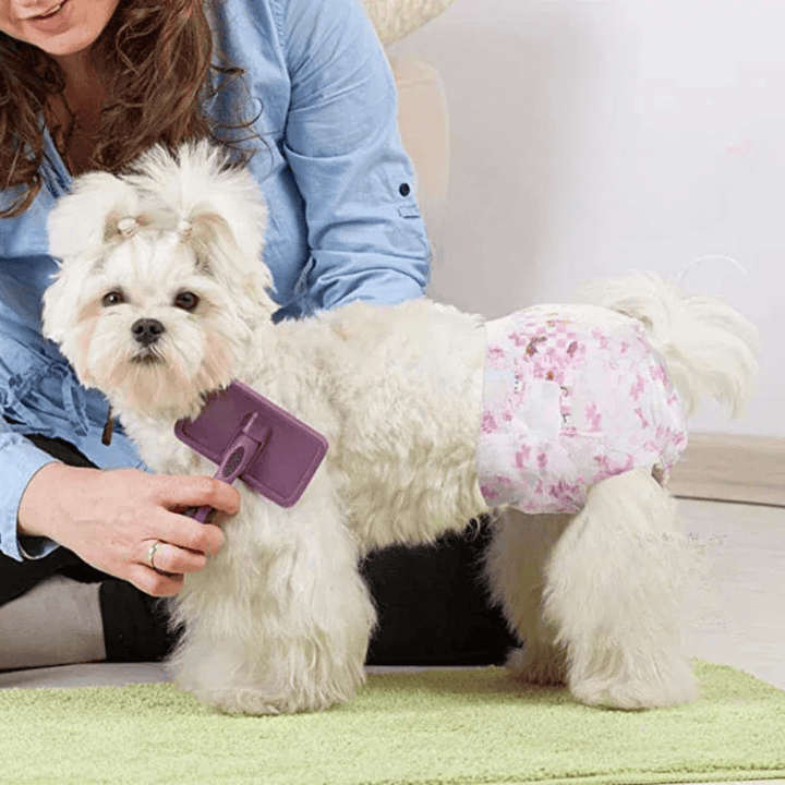 Pack de 10 couches jetables ultra absorbantes pour chien. Idéales hygiène, apprentissage propreté et confort animal.
