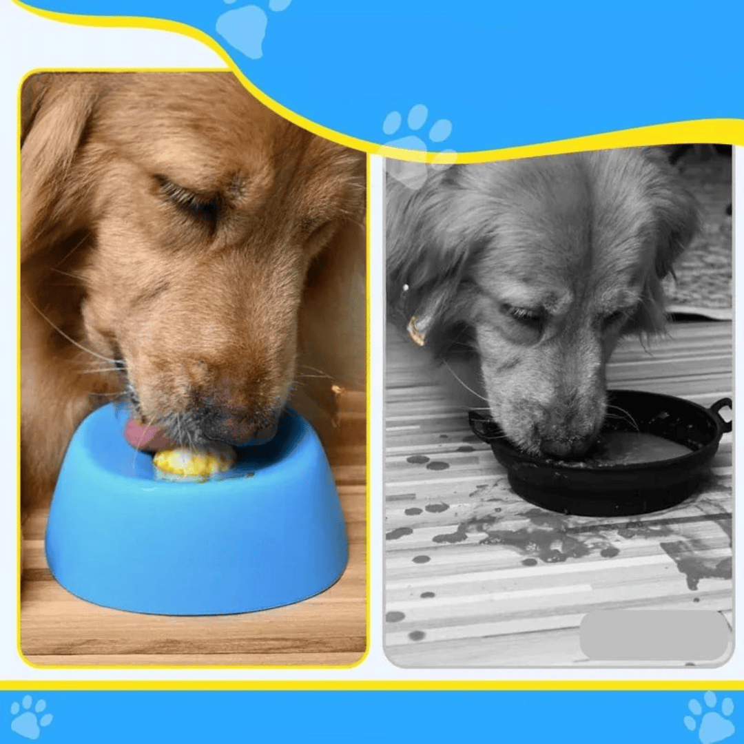 Tapis de léchage pour chien anti-glouton améliorant la digestion et l'alimentation saine.