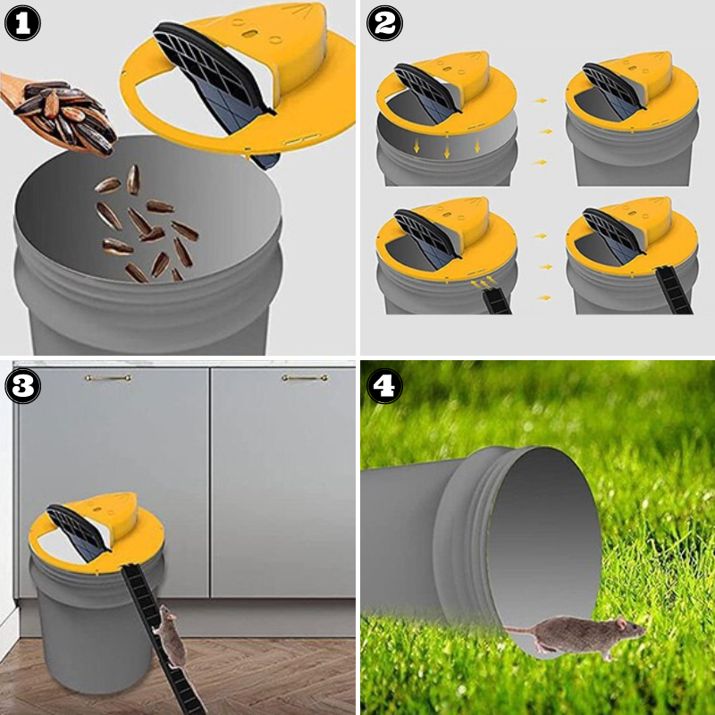 Piège à souris humain, couvercle de seau universel avec rampe d'accès, solution écologique anti-rongeur sans cruauté.