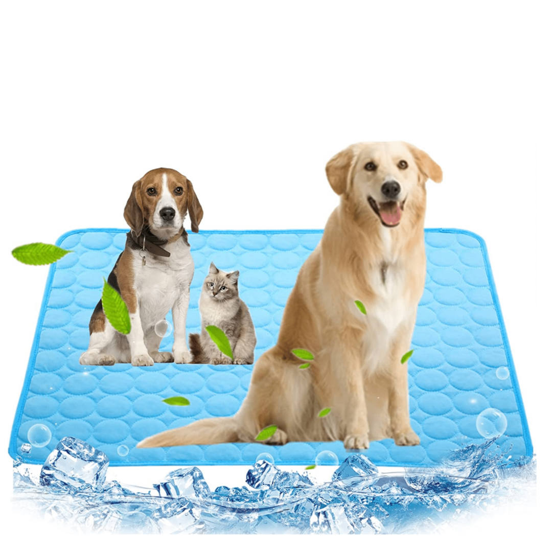 Tapis rafraîchissant bleu pour chien, idéal pour soulager la chaleur estivale. Confort frais pour animaux.