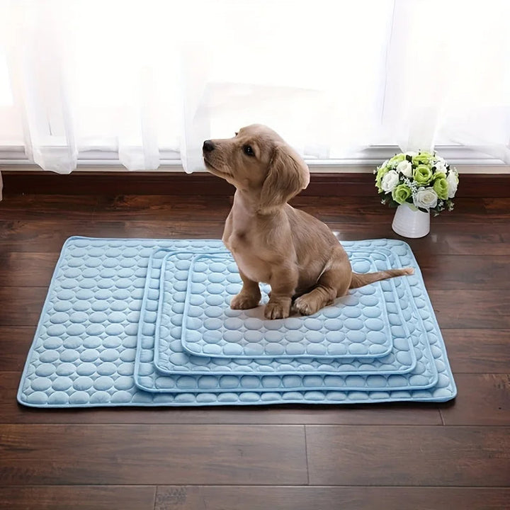 Tapis rafraîchissant portable pour chien et chat, idéal pour la maison, cage ou voiture durant l'été.
