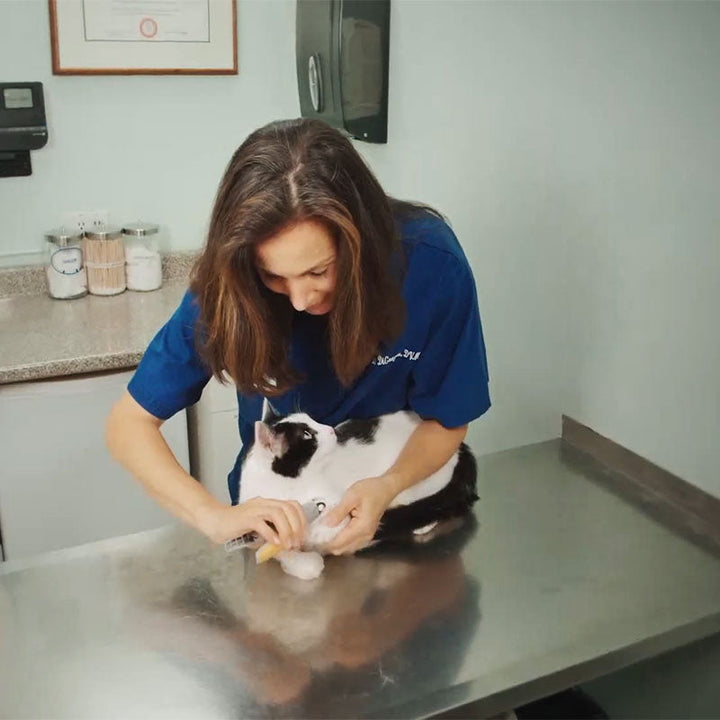 Le Paw Guard Pro, le meilleur coupe-ongles pour un toilettage à domicile sûr et efficace de votre chien.