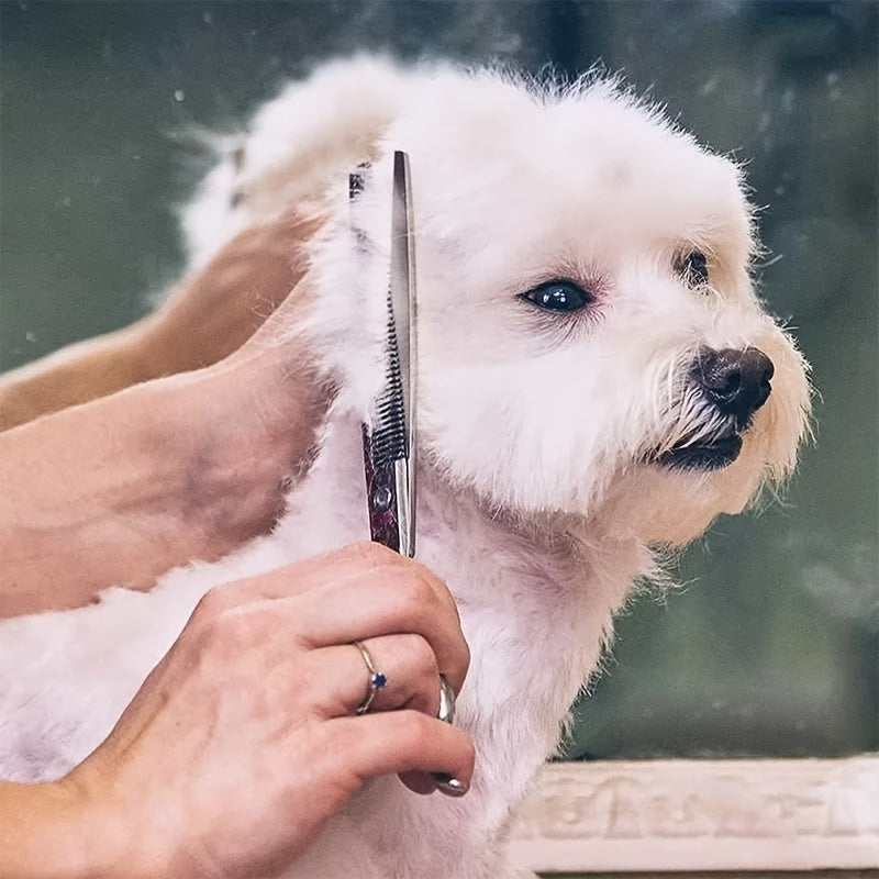 Produit de toilettage animal : set de ciseaux ergonomiques et peigne pour un confort optimal durant l'entretien.
