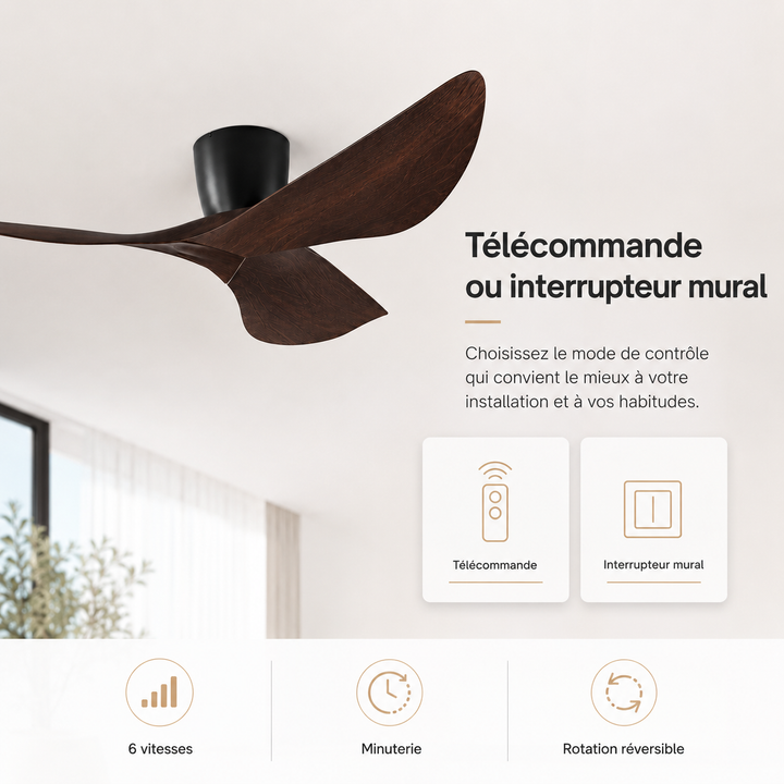 Ventilateur de plafond rafraîchissant pour l'été, silencieux et économe en énergie, design moderne.