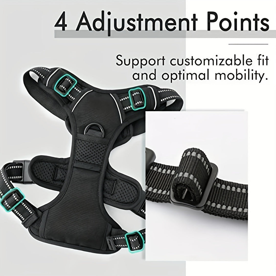 Accessoire chien essentiel: harnais réfléchissant, confortable et anti-traction avec laisse robuste.