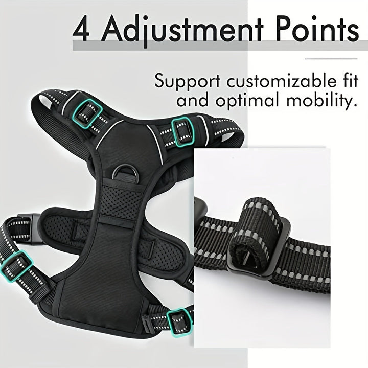 Accessoire chien essentiel: harnais réfléchissant, confortable et anti-traction avec laisse robuste.