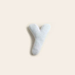 Y