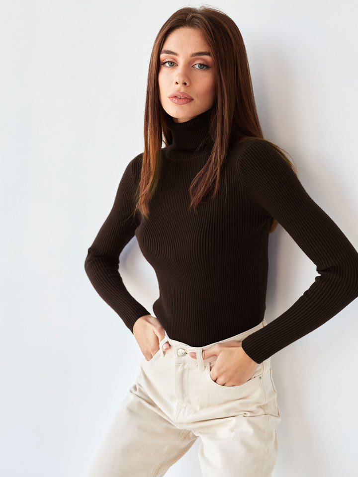 Look moderne avec ce pull col roulé femme, manches longues. Élégance et chaleur garanties l'hiver.