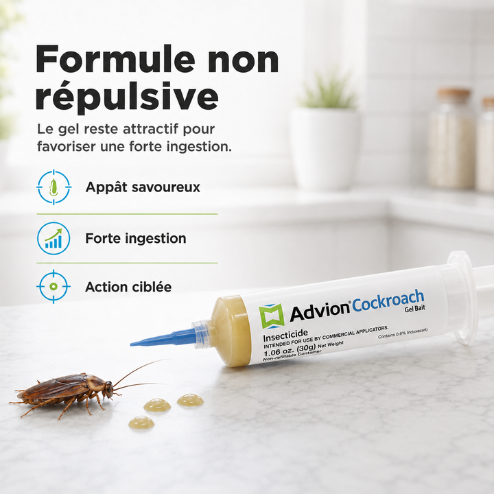 Appât gel anti-cafards puissant et sûr, formule non toxique pour une désinsectisation efficace et sans danger.