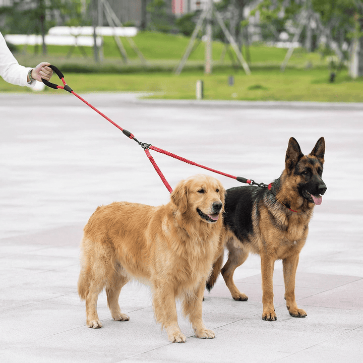 Laisse double nylon pour chien, anti-enchevêtrement 360°, idéale pour promenades confortables.
