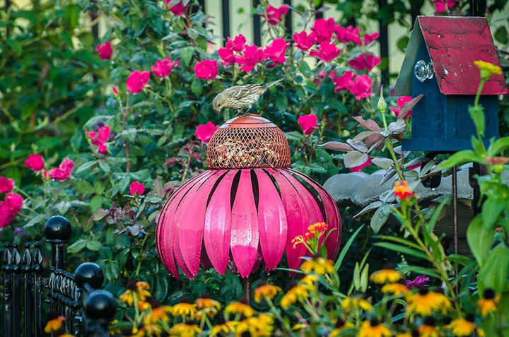 Mangeoire de jardin florale en acier robuste, couleurs rouge et bleu. Décoration extérieure pour amoureux des oiseaux.