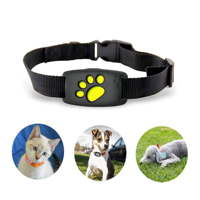 Collier GPS PawTrack mince pour petit chien, léger, étanche, localisation précise, sécurité accrue.