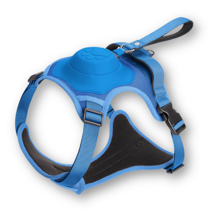 Harnais de promenade pour chien FlexiLead avec laisse flexible intégrée, garantissant sécurité et liberté de mouvement.
