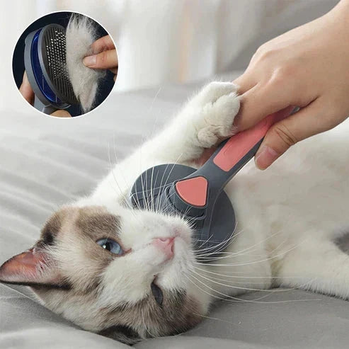 Brosse de toilettage ergonomique pour animaux de compagnie, manche confortable pour un soin facile du pelage.