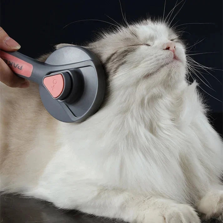 Brosse autonettoyante, accessoire essentiel de toilettage pour chien et chat. Maintien du pelage sain.
