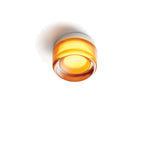 Ambre