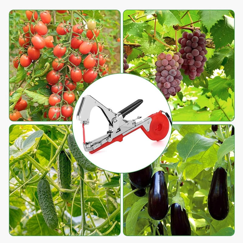 Outil de jardinage vert Pistolet Attache-Plantes automatique pour soutenir la croissance des plantes.