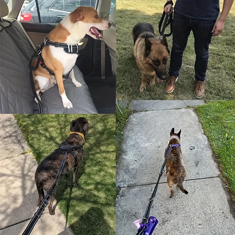 Laisse pour grand chien, nylon résistant, bungee amortissante, réglable et réfléchissante. Sécurité optimale.