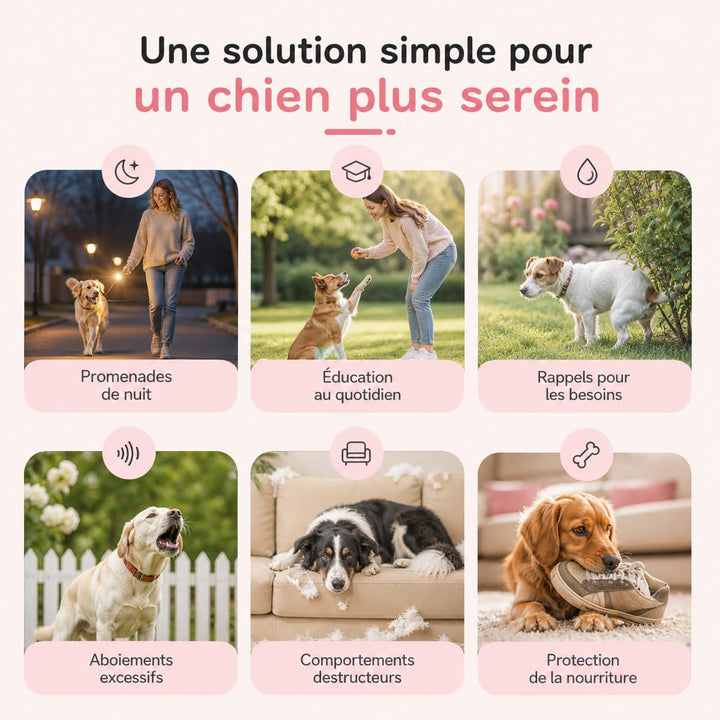 Technologie ultrasonique pour un dressage anti-aboiement efficace et non invasif pour chiens.