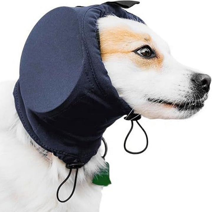 Chien portant un casque anti-bruit pour réduire l'anxiété et assurer son calme face aux bruits forts.