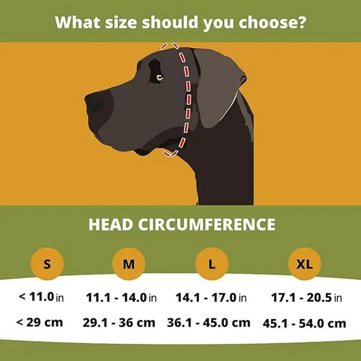 Accessoire chien : casque antibruit ajustable, idéal pour les voyages, orages ou feux d'artifice bruyants.