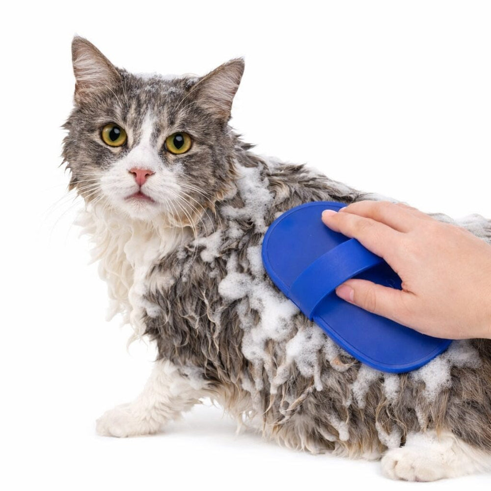 Brosse de toilettage en silicone souple pour chiens et chats, assure un massage apaisant et un nettoyage efficace des poils.
