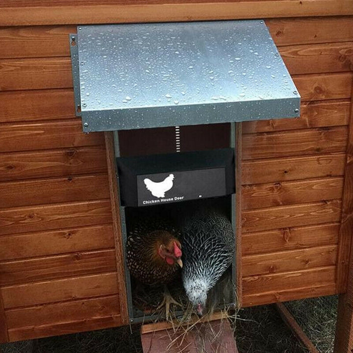 Porte de poulailler automatique PoultryPro. Sécurité avancée, étanche, installation rapide pour vos poules.