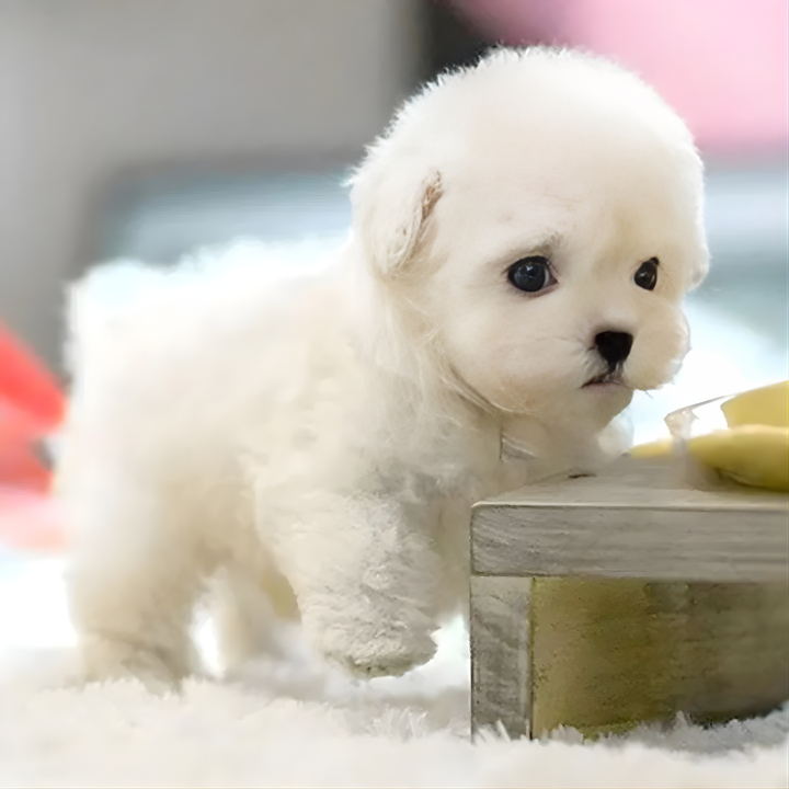 Compagnon chiot robot peluche interactif pour enfant, un cadeau éducatif qui imite un vrai animal de compagnie.