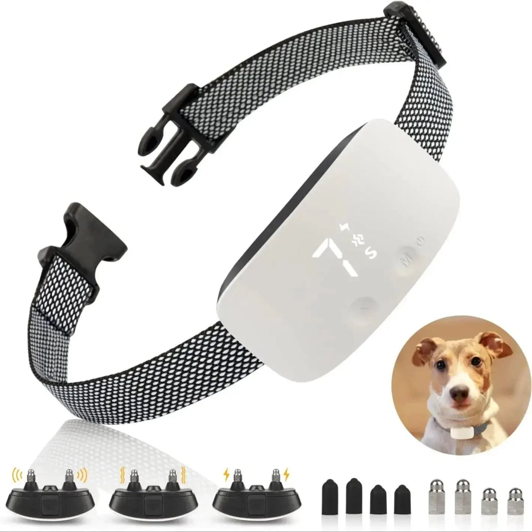 Collier anti-aboiement rechargeable et étanche pour chien, essentiel au dressage canin.