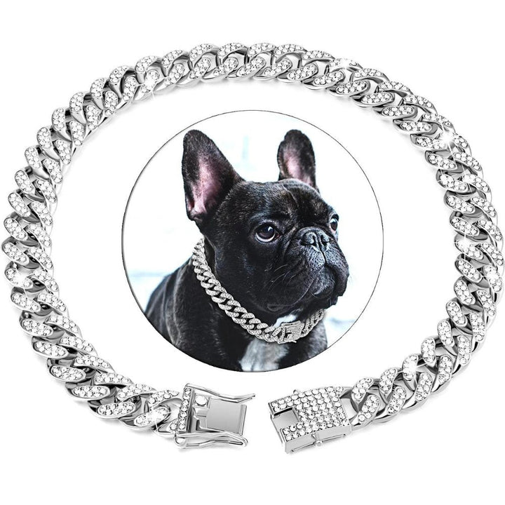 Collier chaîne doré élégant pour chien, luxe, confort et sécurité accrue.