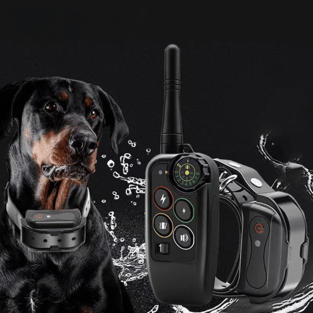 Collier de dressage chien étanche avec télécommande 1000m pour un entraînement à longue portée et obéissance.