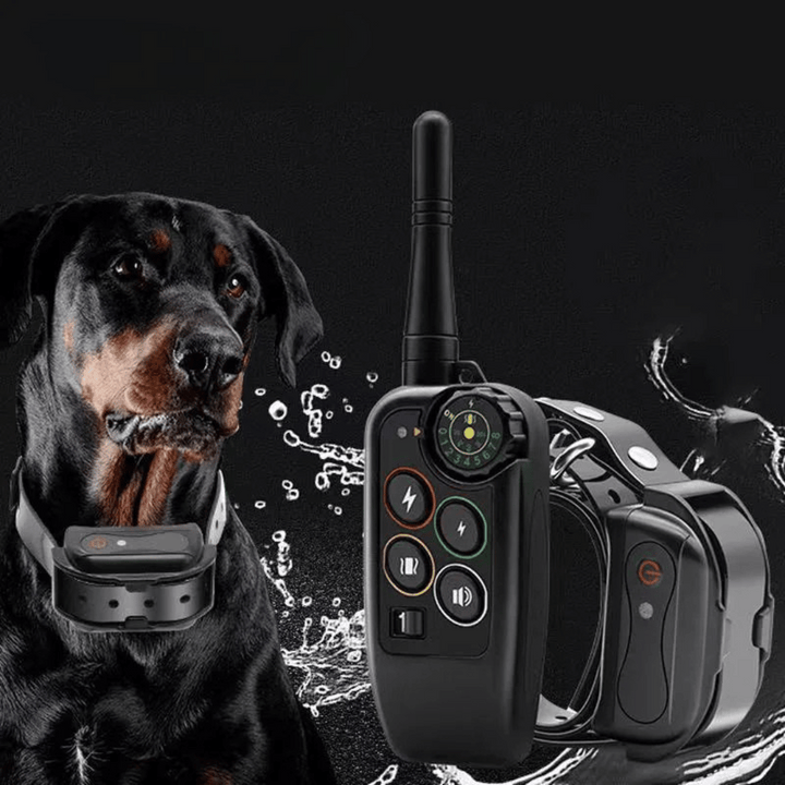 Collier de dressage chien étanche avec télécommande 1000m pour un entraînement à longue portée et obéissance.