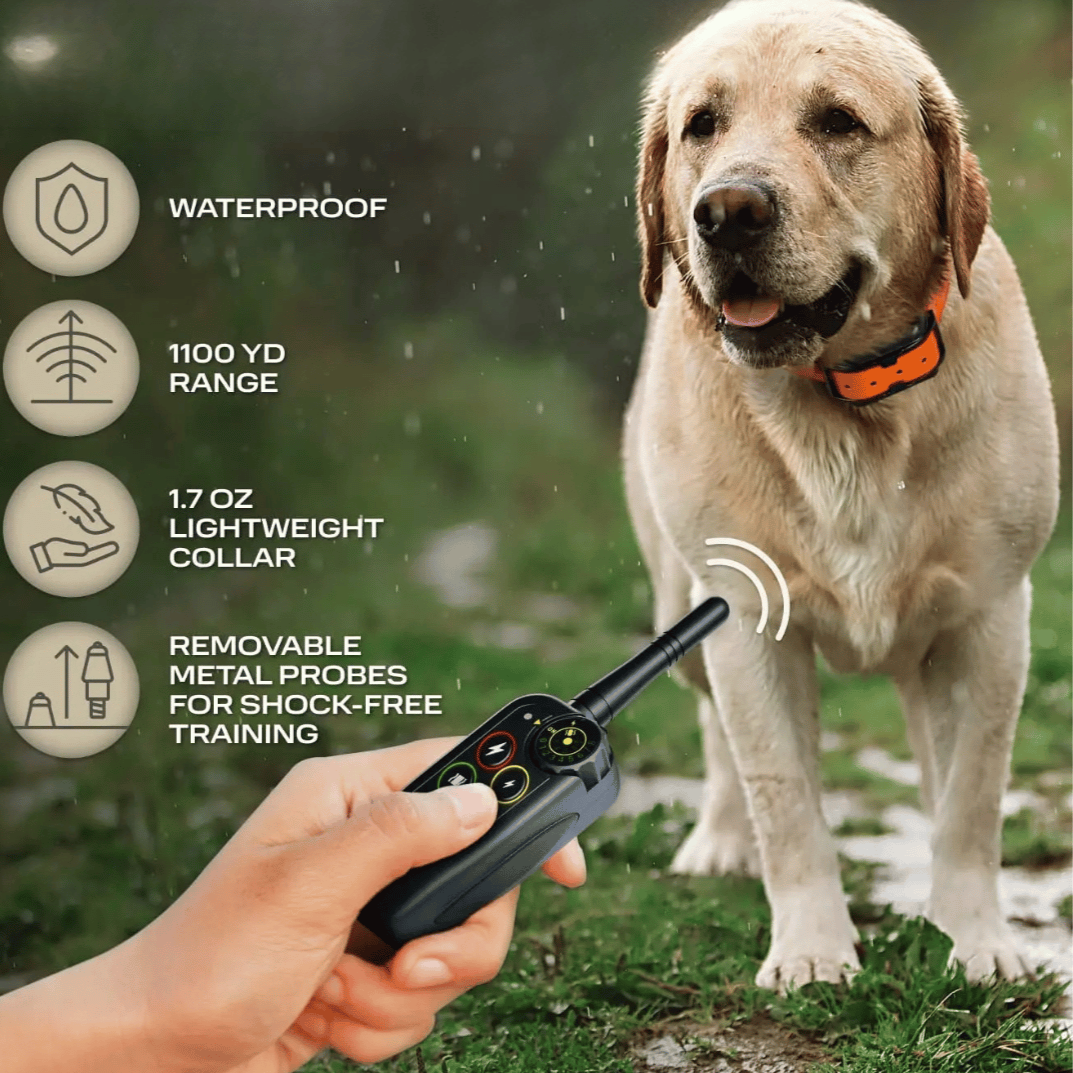 Collier de dressage étanche pour chien. Télécommande 1000m pour l'obéissance. Accessoire d'entraînement fiable.