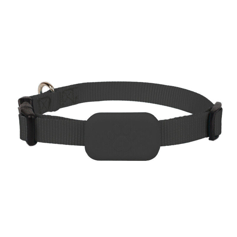 Collier traceur GPS étanche pour chien et chat, localisation en temps réel, sécurité et suivi de votre animal de compagnie.