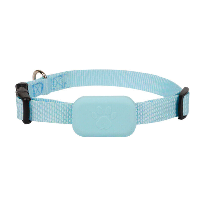 Accessoire GPS compact pour animaux : collier traceur étanche, suivi précis et sécurisé de votre chien ou chat.