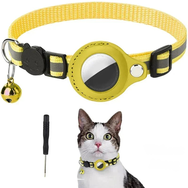 Chien jouant librement avec un collier traceur GPS. Localisation en temps réel pour une sécurité optimale de l'animal.