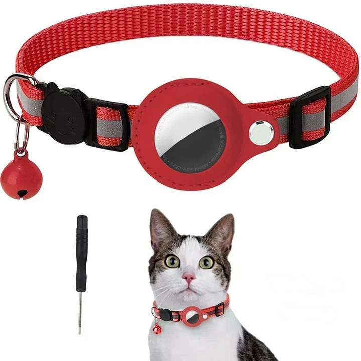 Chat portant un collier traceur GPS compact. Sécurité renforcée et géolocalisation précise pour votre félin.
