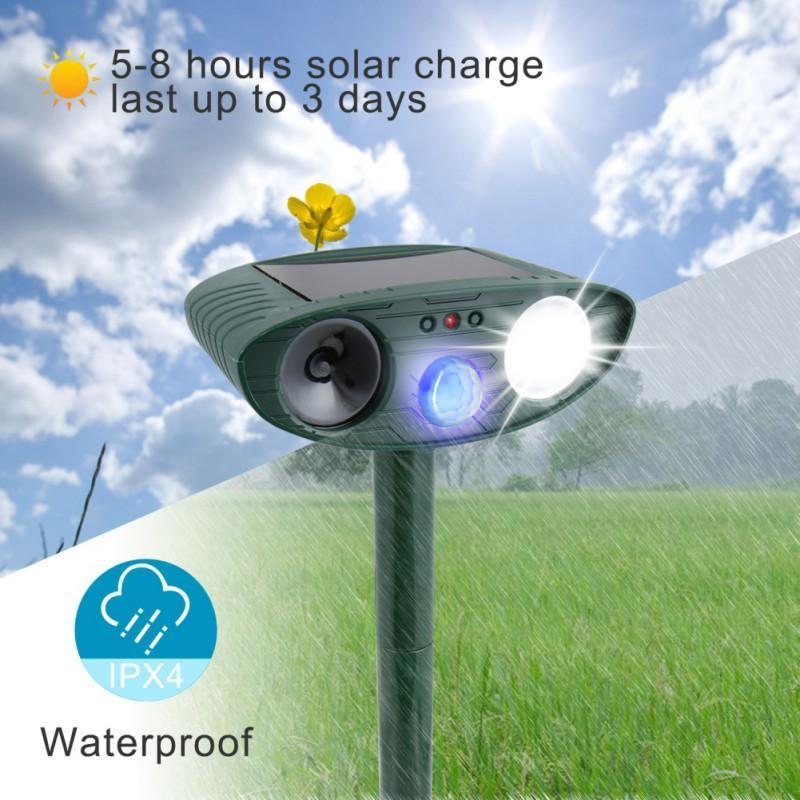 Vue détaillée du panneau solaire et capteur du répulseur ultrasonique pour animaux.