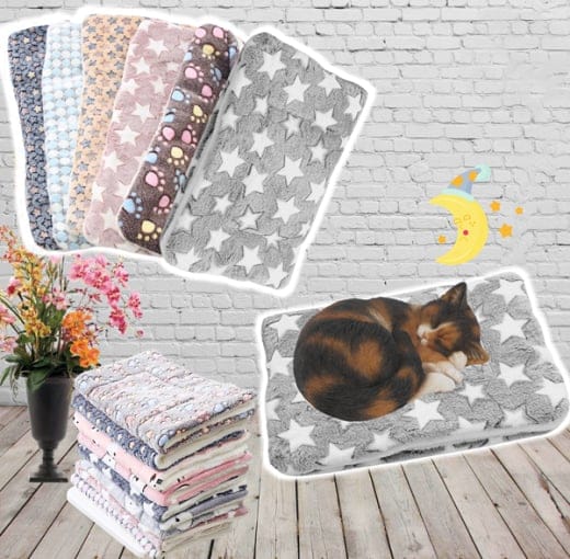 Chat gris apaisé dormant profondément sur la couverture anti-stress douce. Confort félin ultime.